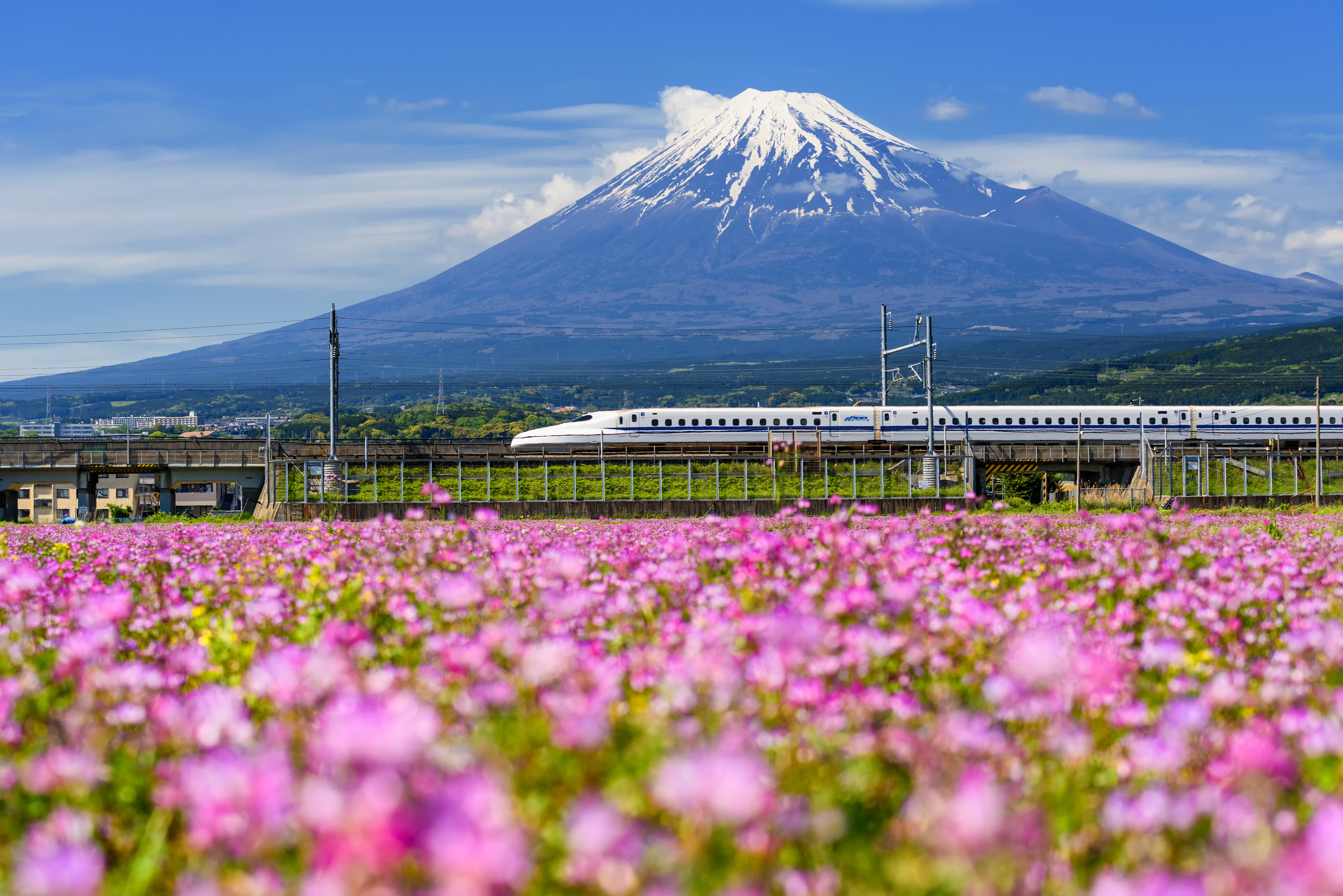 Bullet Train to Hakone