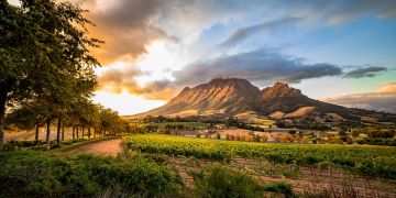 Stellenbosch, South Africa