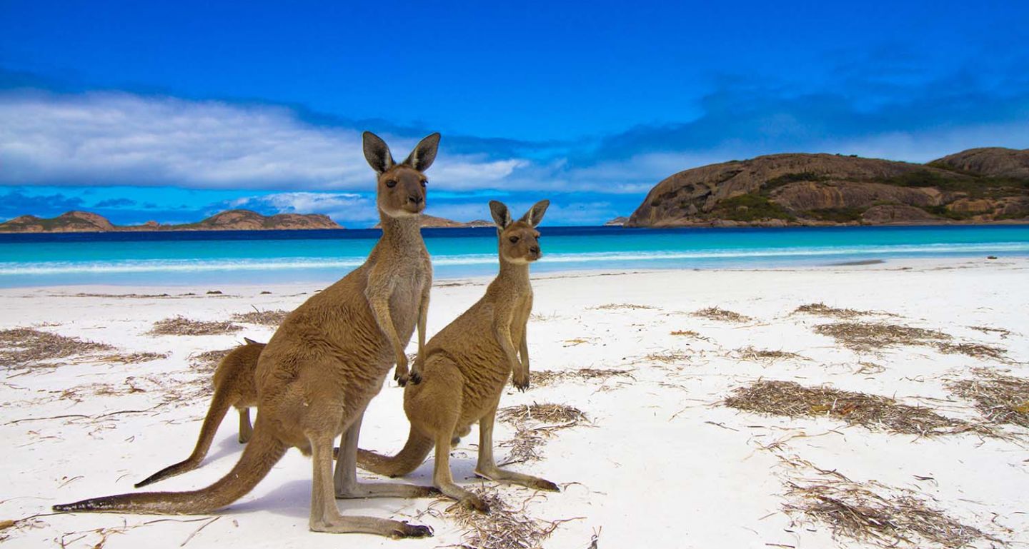 See Sydney Opera House on a cruise to Australasia
