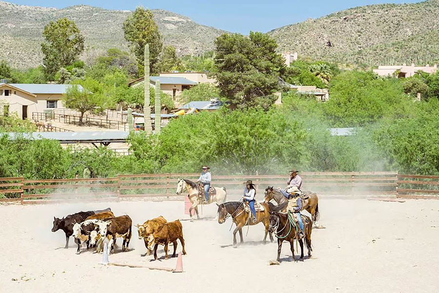 Tanque Verde Ranch