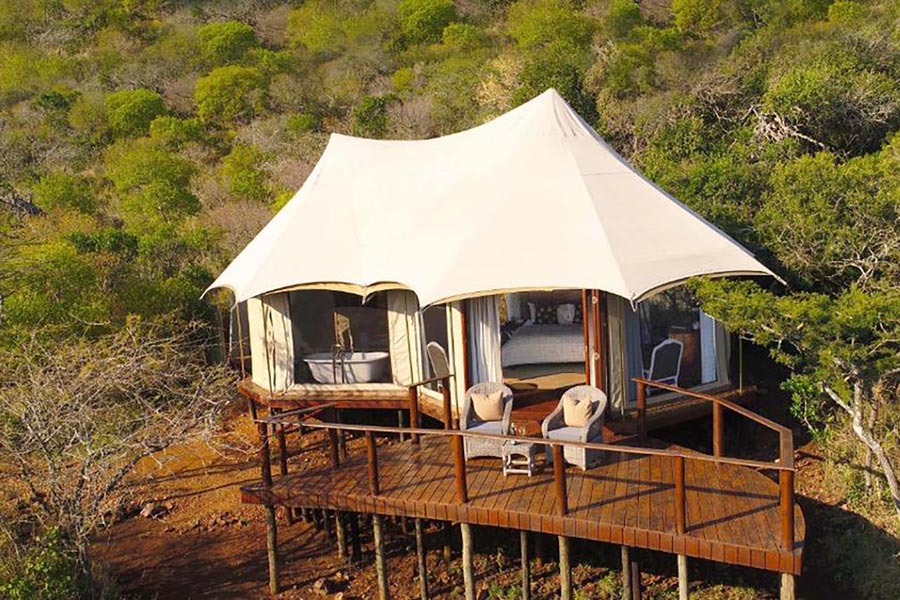 Thanda Safari Private Game Reserve