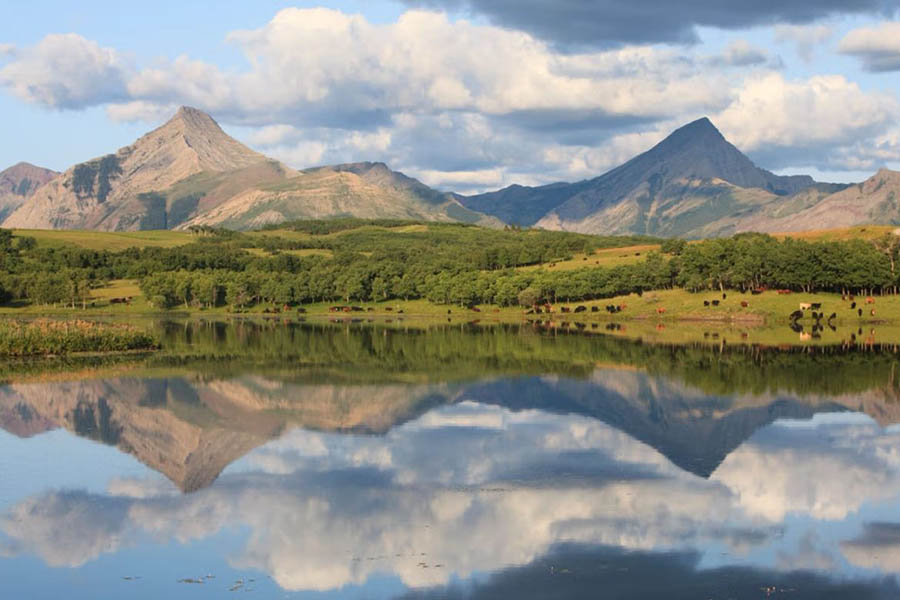 Thanksgiving Ranch, Pincher Creek