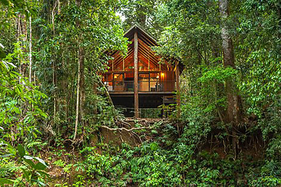 The Canopy Rainforest Treehouses & Wildlife Sanctuary, Tarzali