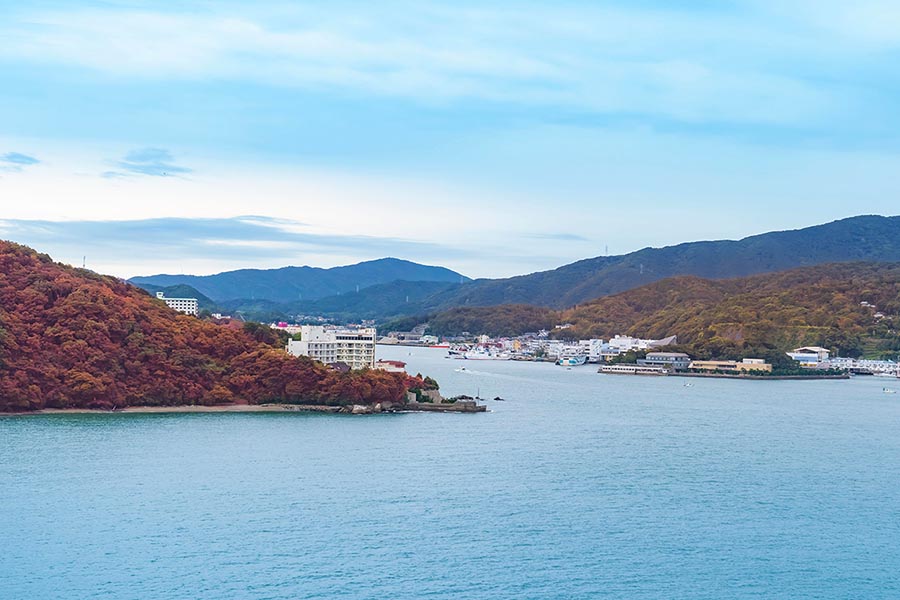 Toba