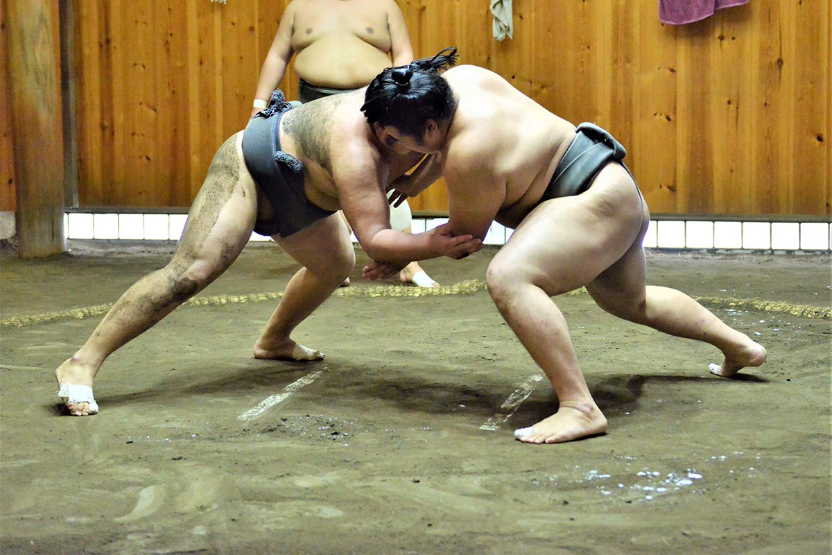 Sumo Morning Practice Viewing