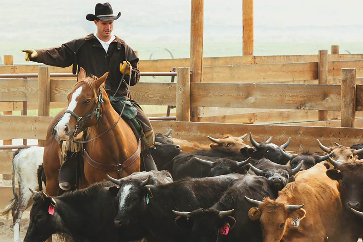 Triple Creek Ranch