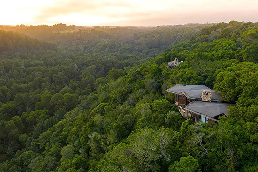 Tsala Treetop Lodge
