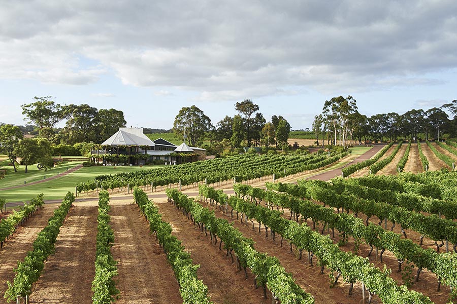 Vasse Felix The Original Tour