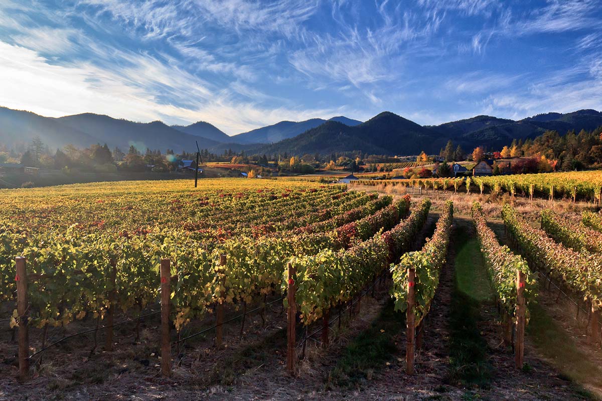 Oregon Vineyards