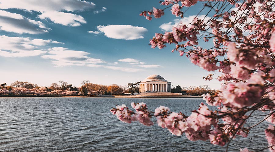 Washington, DC